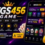 WGS456 Game
